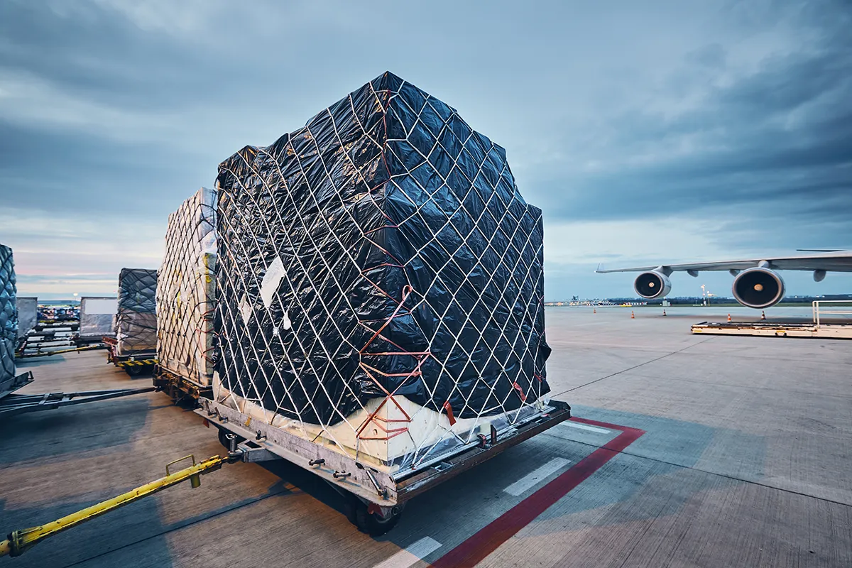loading-cargo-to-airplane-2023-11-27-05-05-29-utc